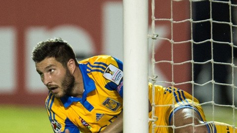 Gignac reccibe la confianza de Deschamps.