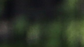 Familiares brindan flores a sus seres queridos en el Cementerio de Veteranos de Westwood.