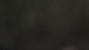 Hombres rescatan un perro cubierto por lodo tras uno de los peores accidentes mineros del país.