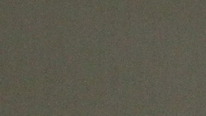 Alejandro G. Iñárritu y su esposa María Eladia Hagerman al paso por la alfrombra 'verde' de la gala del LACMA.