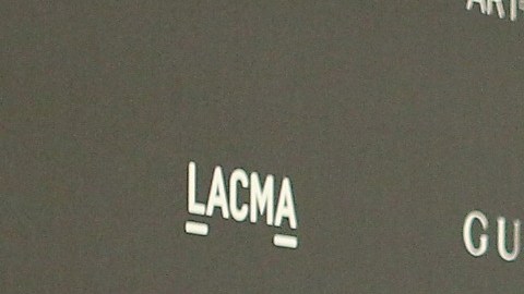 Alejandro G. Iñárritu y su esposa María Eladia Hagerman al paso por la alfrombra 'verde' de la gala del LACMA.