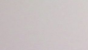 Todos los pasajeros y tripulantes eran rusos, excepto tres ucranianos y un bielorruso, y entre ellos había 25 niños.