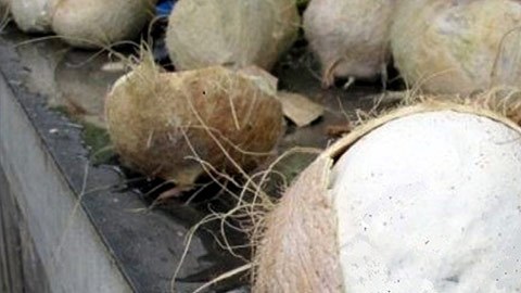 Coco relleno de metanfetaminas