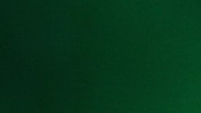 Don Omar se presenta en Pico Rivera con sus 'amigos' Arcángel, Baby Rasta y Gringo, Nengo Flow, Farruko, Yoskar Sarales, Henry Santos y Bachata Heights.