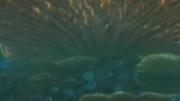 La película se estrenará el próximo verano 2016.