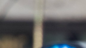 El cantante, que asegura ser muy aficionado al boxeo, tuvo un incidente con Rousey y su hermana.