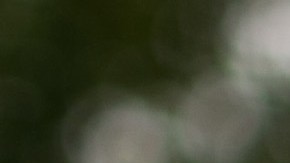 Activists From Across The Country Hold March For Immigration Reform