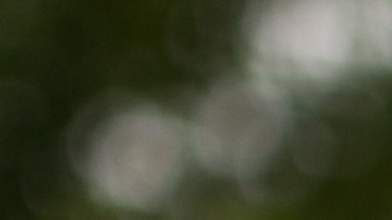 Activists From Across The Country Hold March For Immigration Reform