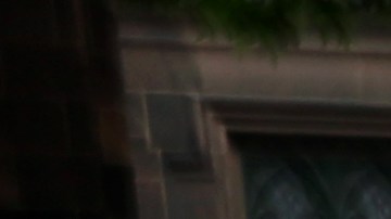 Participantes en el Desfile del Orgullo de 2015.