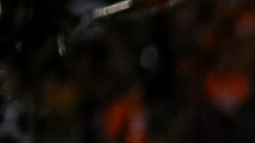 Ronnie Hillman se escapa en carrera de 15 yardas para uno de sus dos touchdowns por Denver contra Green Bay.