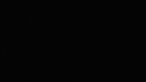 El Gobierno de Francia informó este sábado en conferencia de prensa que hasta el momento suman 129 personas muertas y 352 heridas, 99 de gravedad.