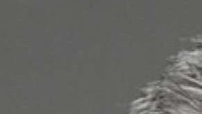 Salud Carbajal, supervisor de Santa Barbara y Nanette Barragan, concejal de Hermosa Beach, buscan ser los nuevos latinos que representen a distritos de California en el Congreso el año que viene.