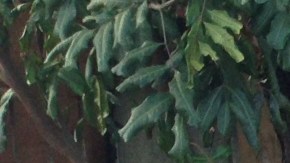 Artículos quemados se muestran afuera de la casa incendiada en Carson. /ISAÍAS ALVARADO