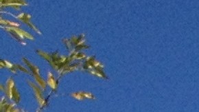 Ishmael Guzmán y dos de sus hermanos sirvieron en la Guerra de Vietnam. /FRANCISCO CASTRO