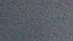 A través del cristal de este cuadro, Beatriz González intenta tocar el rostro de su hija, Nohemí González, quien falleció en la masacre de París, Francia, el pasado 13 de noviembre.