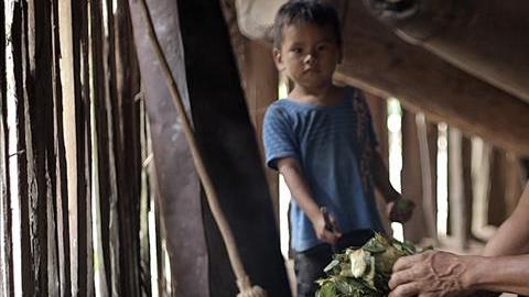 indigenas amazonas cambio climatico calentamiento global