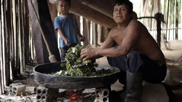 indigenas amazonas cambio climatico calentamiento global