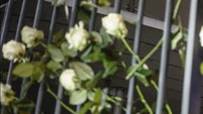 isis terrorismo estado islamico