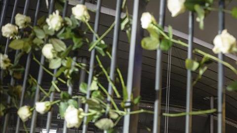 isis terrorismo estado islamico