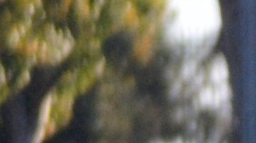 Juan Palacio es un destacado delantero de Halcones FC.