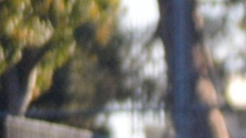 Juan Palacio es un destacado delantero de Halcones FC.