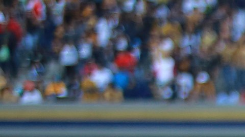 Integrantes de Pumas.
