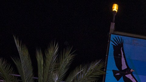 L.A. Zoo Lights transforma el zoológico en un festival de luces y colores.