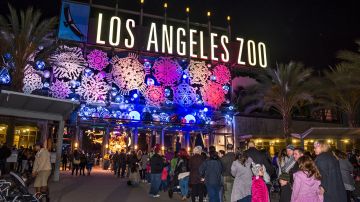 L.A. Zoo Lights transforma el zoológico en un festival de luces y colores.