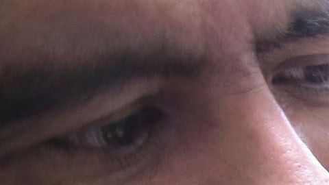 Eventualmente, la FDA podría reconsiderar su posición en cuanto a donantes de sangre.