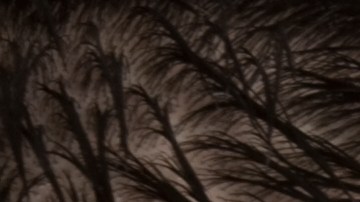 A diferencia de sus abuelos, los Millenials no están interesados en trabajar 40 años para la misma empresa.