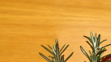 Sam's Club pondrá a la venta distintos tamaños de pavo para satisfacer la demanda de sus clientes.