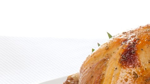 pavo