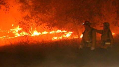 Potrero_Fire