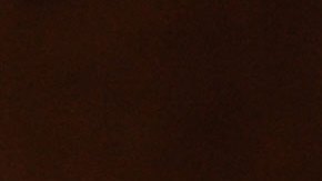 El procurador Francisco Domínguez Brito