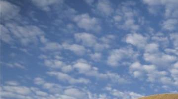 rinoceronte san diego california