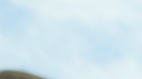 Fast Food Workers Stage Nationwide Protests For Higher Wages