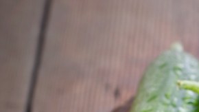 Los CDC recomiendan desechar el producto, conocido como "pepino americano" que tiene un color verde oscuro, para evitar el riesgo de contagio.