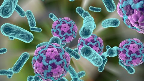 bacterias