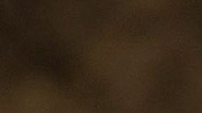 'The 33', con Antonio Banderas, es uno de los filmes latinos que forman parte del festival.