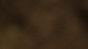 'The 33', con Antonio Banderas, es uno de los filmes latinos que forman parte del festival.