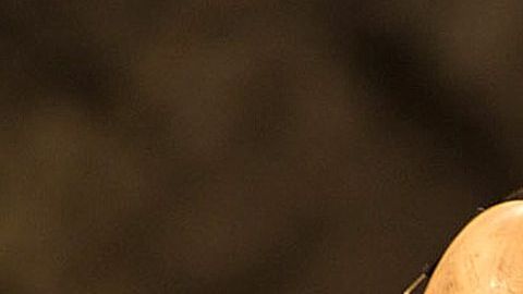 'The 33', con Antonio Banderas, es uno de los filmes latinos que forman parte del festival.
