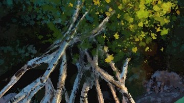 'The Good Dinosaur' se estrenó ayer en cines de todo el país.