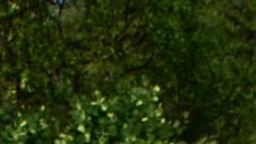 'The Good Dinosaur', el nuevo filme de Pixar, llega a los cines hoy miércoles.