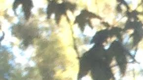 Cathy Figel con una sobrina.