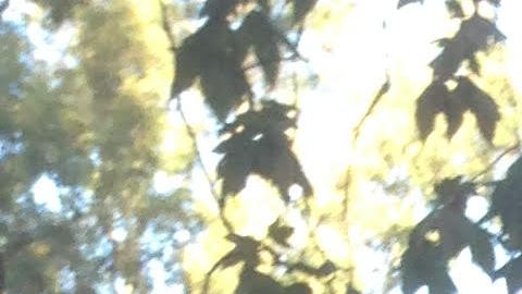 Cathy Figel con una sobrina.