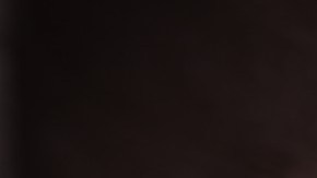 La campaña 'Decimos no más' educa y moviliza a los padres latinos de este país a poner un alto contra la violencia doméstica y el abuso sexual.