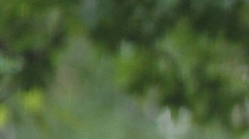 05-30-2015_001_SchoolStudents