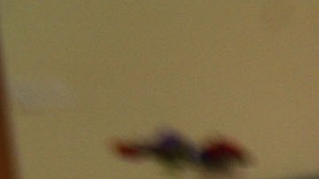 Today’s Fresh Start quiere convertirse en una de las mejores escuelas de EEUU.