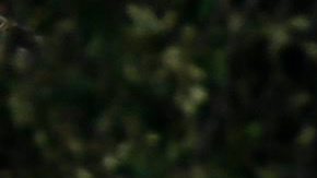 Tornados en Estados Unidos