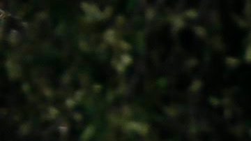 Tornados en Estados Unidos